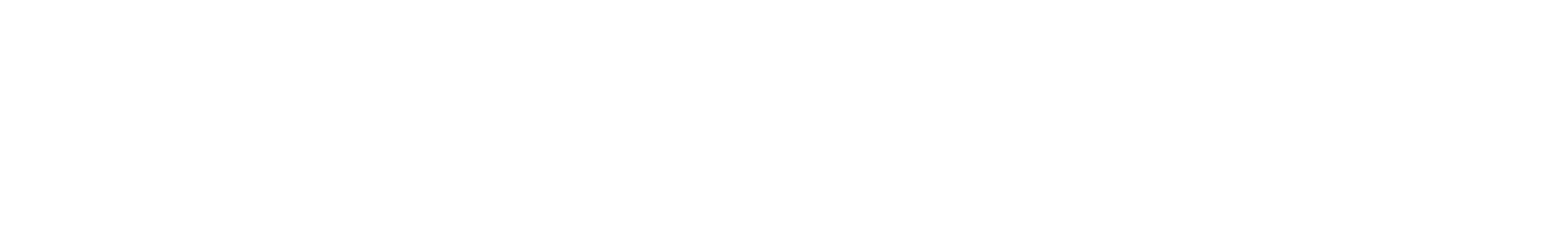 Project Phi